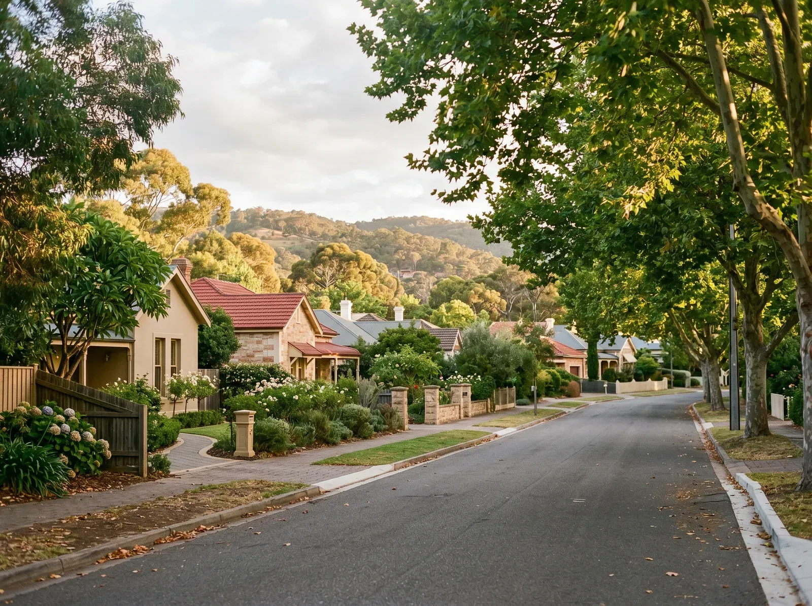 A leafy eastern-suburbs street beneath the Adelaide foothills