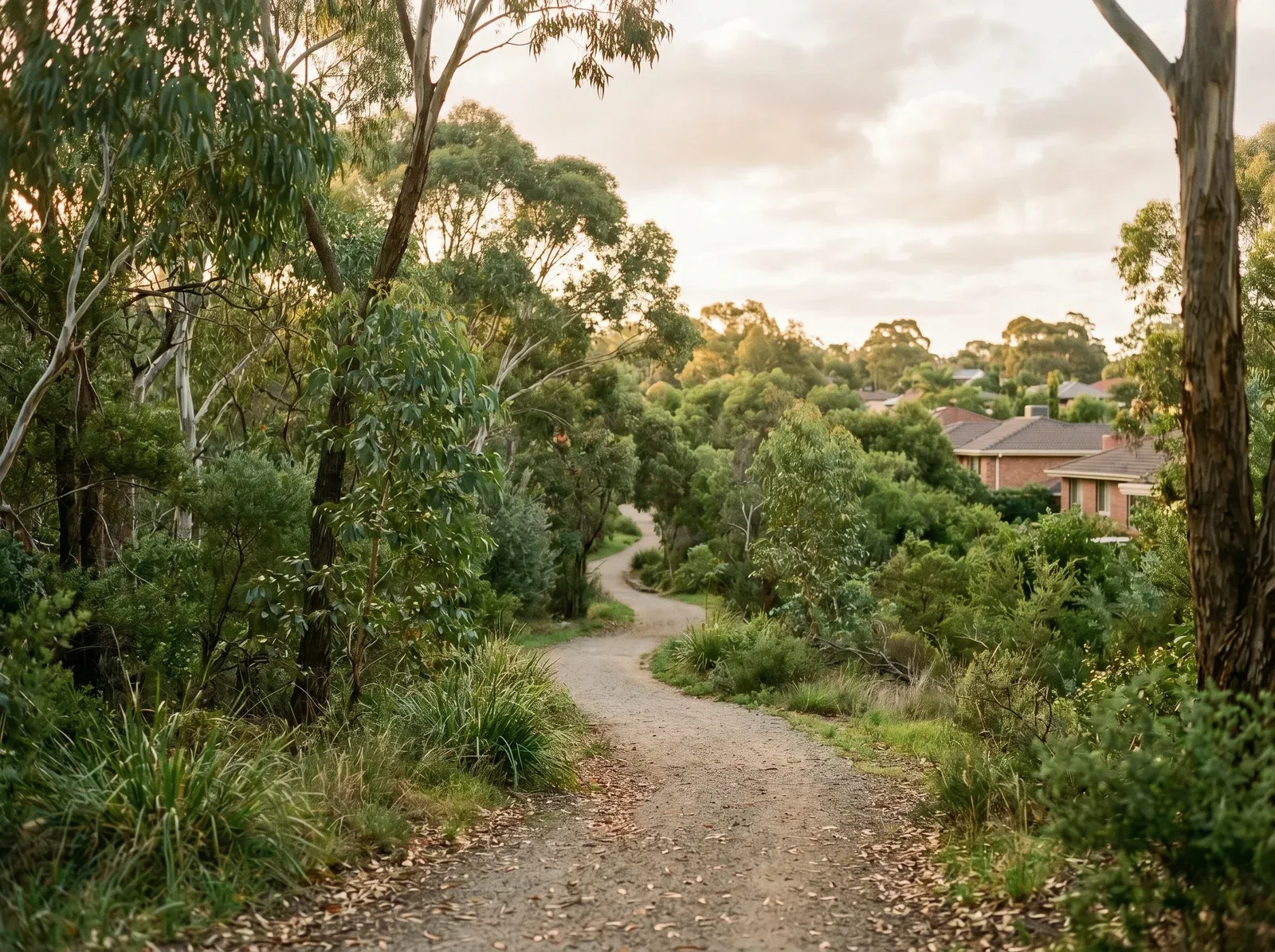 A quiet leafy suburban reserve in north-east Adelaide