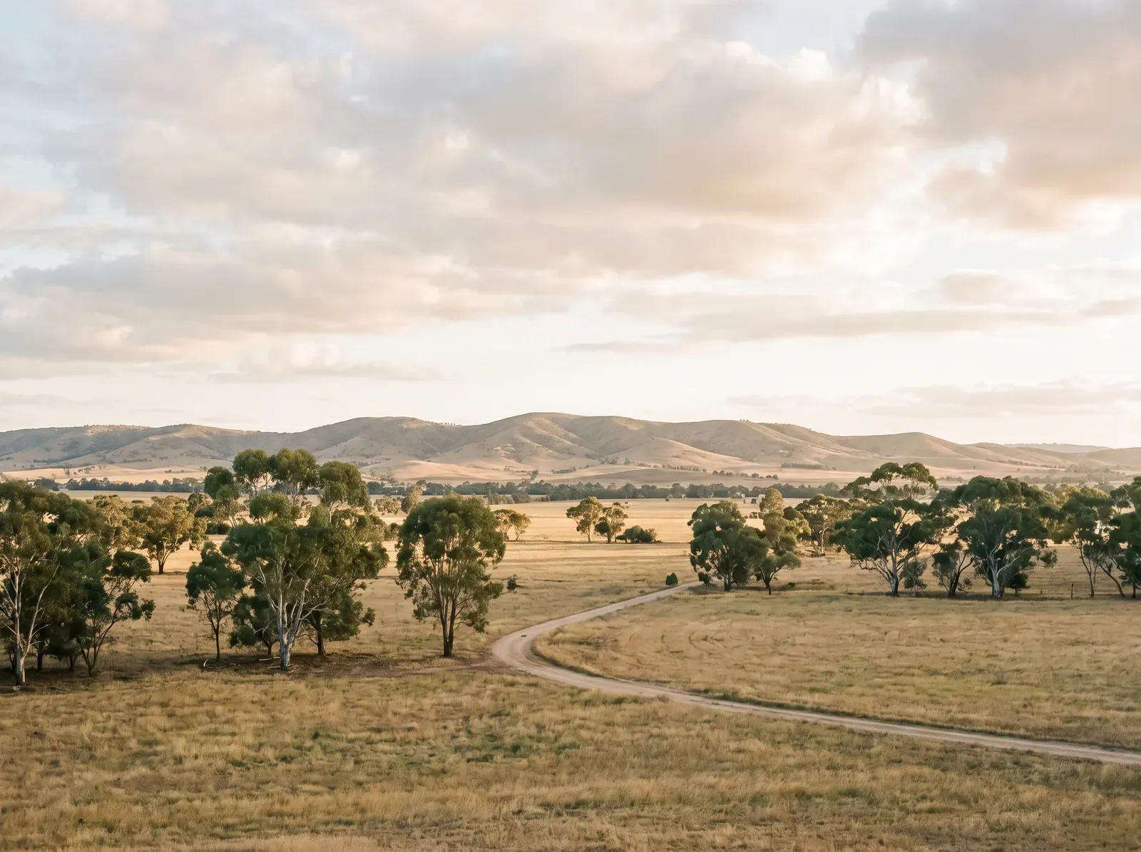 Open northern Adelaide plains under a soft sky